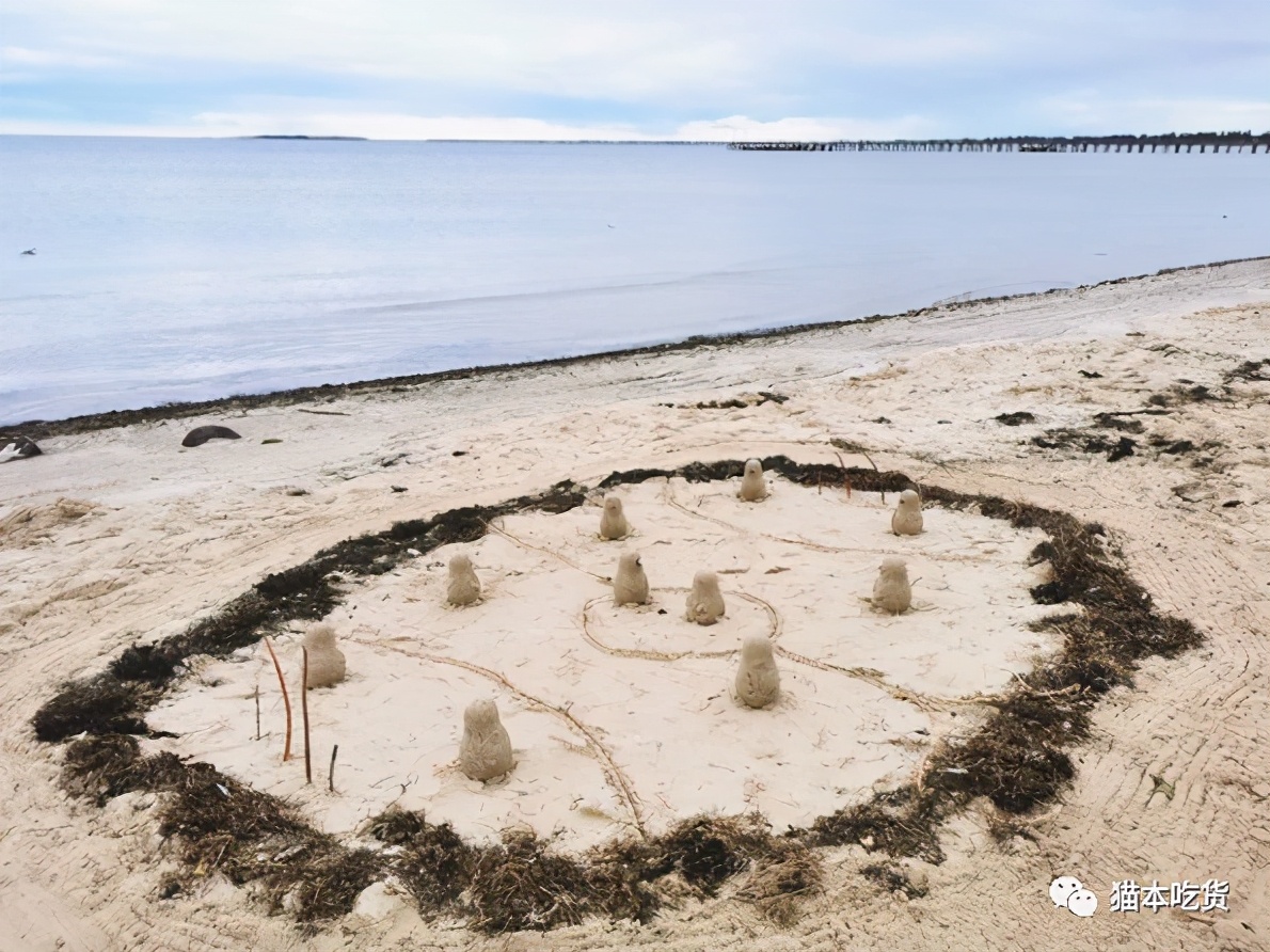 墨尔本两只相互依偎的企鹅,澳大利亚墨尔本看企鹅