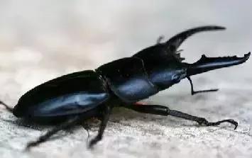 人越老越喜欢回忆过去,人一旦老了就特别爱回忆