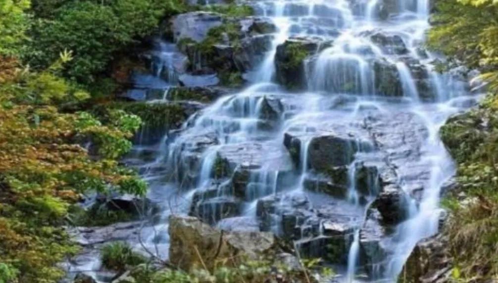 百千桑梓地,百千桑梓地浙江天台