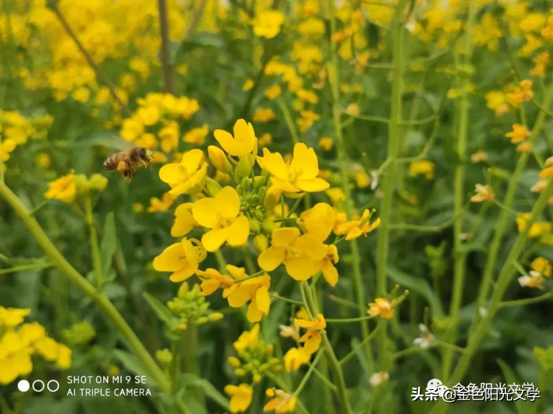 老师送了本书给我我该怎么感谢,老师送了我一本书