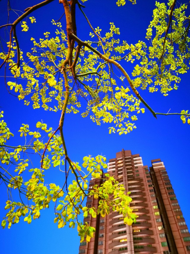 旋转拍摄法,旋转相机拍摄