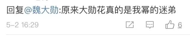 魏大勋杨幂亲密照,杨幂和魏大勋的高甜合集