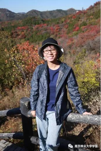 无患子果实视频,无患子成熟图