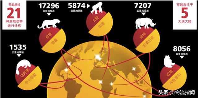 DHL的50年：12万名员工，就是12万名国际快递专家