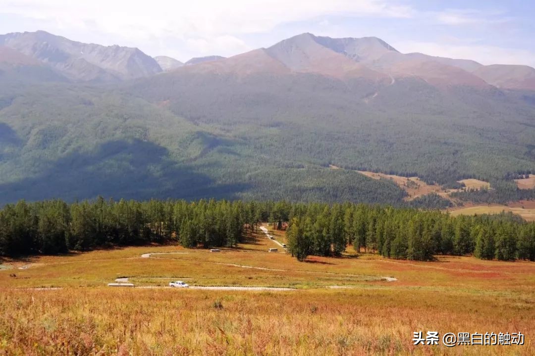 都说新疆好去新疆发展可靠么,都说新疆好地方