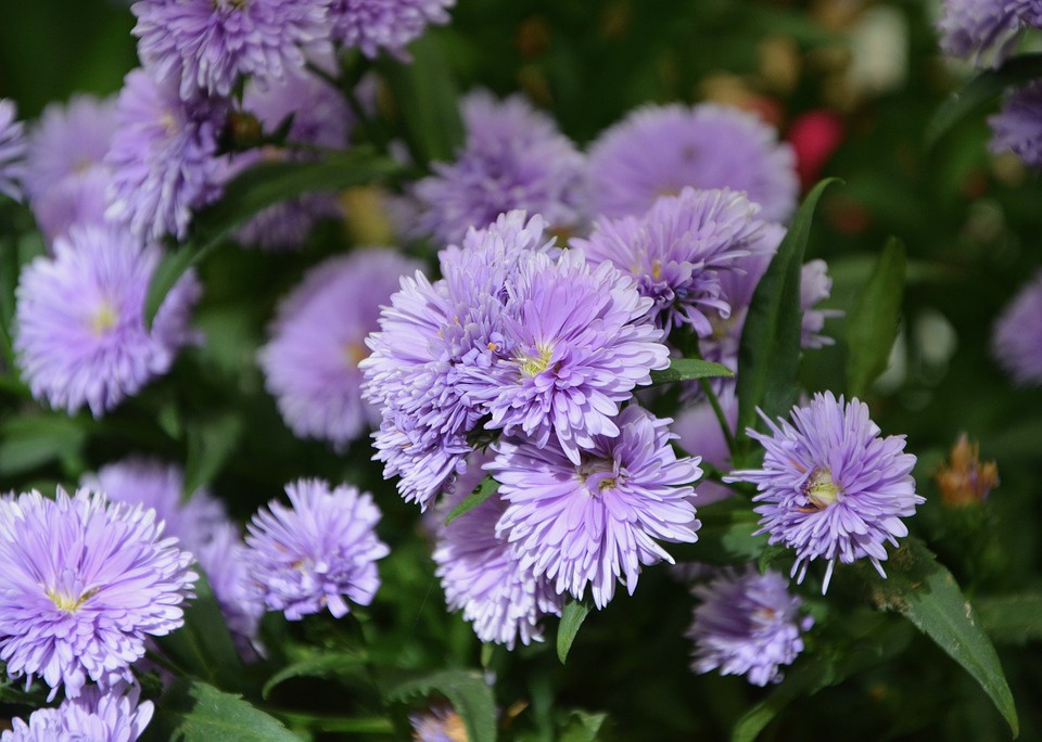 当男人沉默的时候,女人这样做,他会更爱你