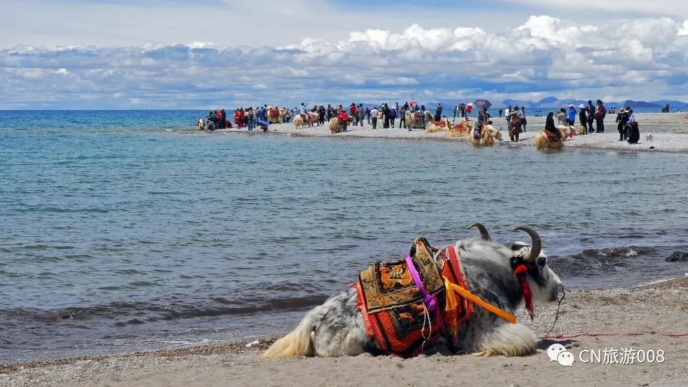 中国56个民族视频,中国56个民族都是什么族