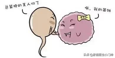 怎样受孕胎儿最健康,怎样受孕才能生出健康聪明的宝宝