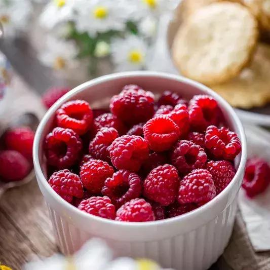 通辽开鲁有什么好的小吃,通辽市开鲁县果树