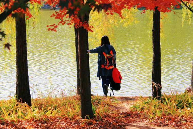 尼康入门单反,单反快速入门攻略