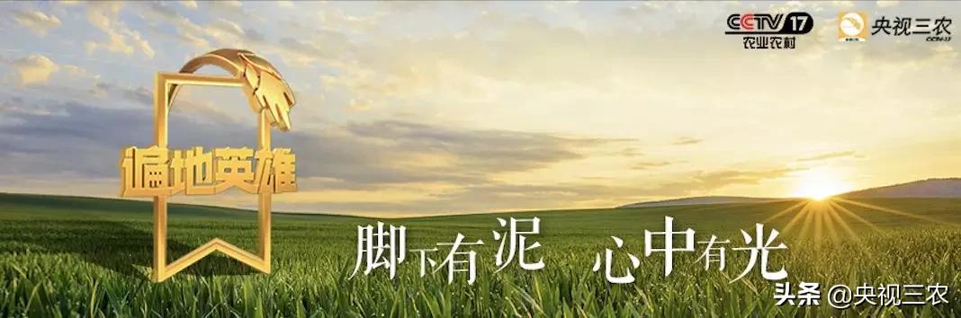 他放弃高薪回村干这一行，旁人不理解，如今大获成功