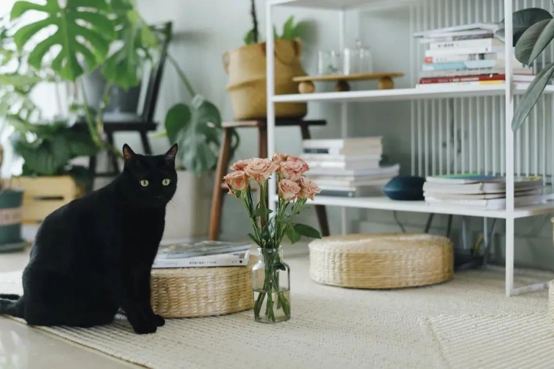 杭州女生老破小装修改造,装修漂亮女工