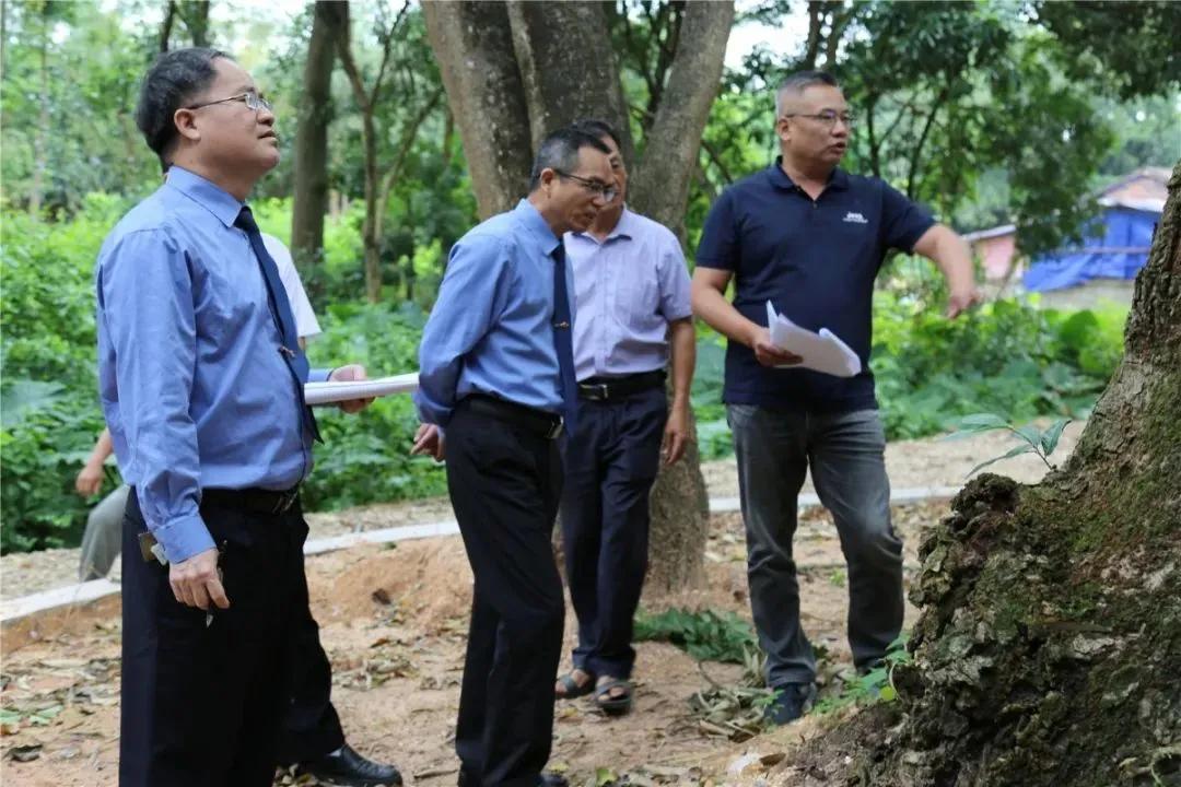 检察蓝用心守护海洋蓝,检察蓝守护最美夕阳红