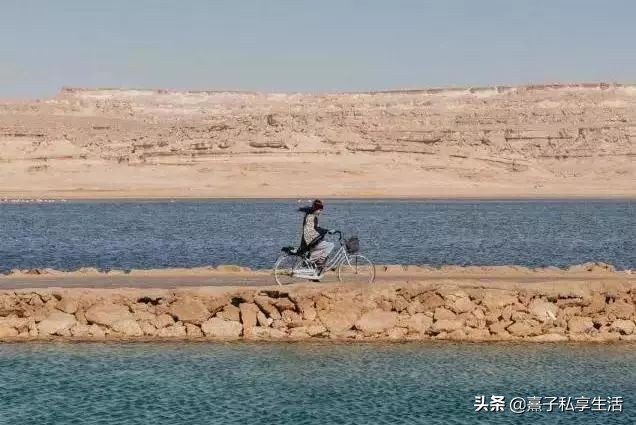 环游世界情侣,环游世界夫妻赚了十个亿