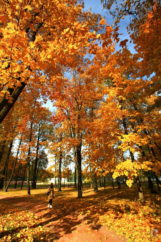 奢华宏伟,绝美的风景俄罗斯