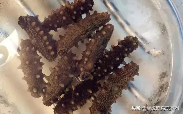 海参泡发后海参筋发黑,海参里面的筋要去掉吗