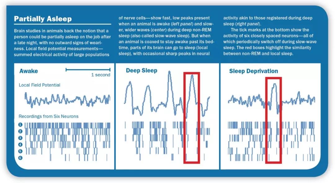 四十年不睡觉的人视频,40年不睡觉的人