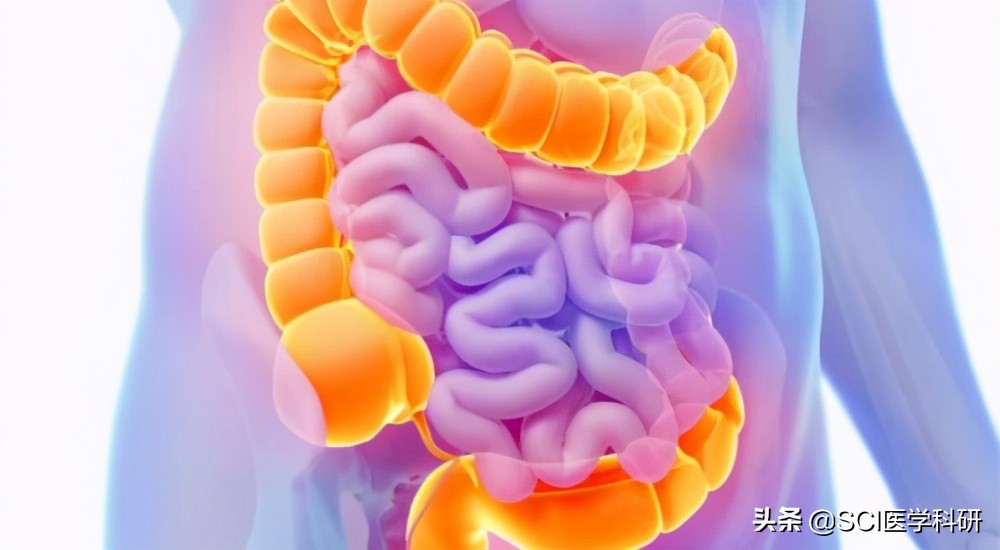 益生菌“酵母机器人”可能有一天会治疗IBD