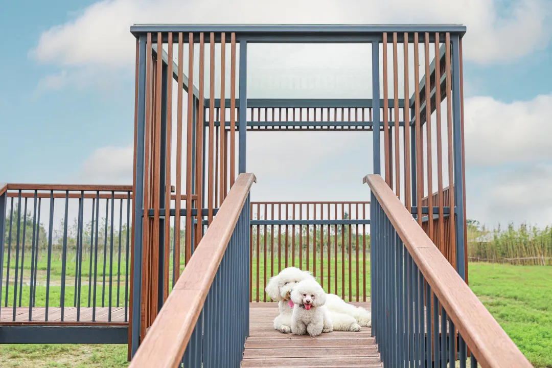 国庆假期去哪里啊,国庆去哪里嗨翻天