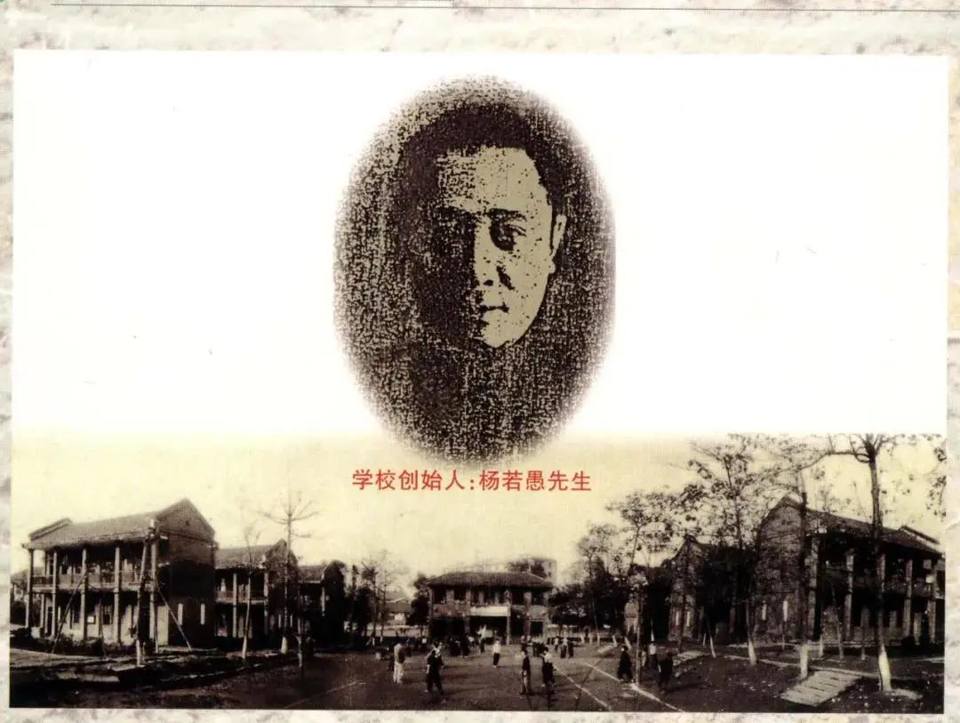 重庆沙坪坝树人小学对口划片,2023年重庆树人小学本部划片