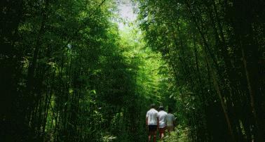 裸心谷特价房券,裸心堡特价预定