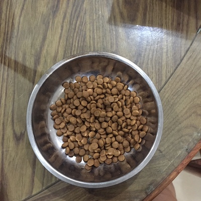 几个月的幼犬容易养活,几个月的小狗怎么喂