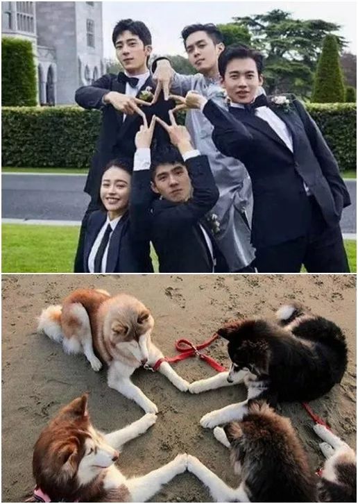 张若昀唐艺昕婚礼全程记录在哪看,张若昀唐艺昕婚礼视频完整版后续