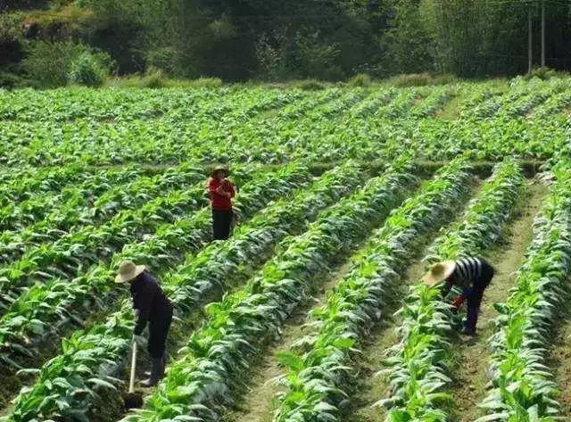 土地卖了能要回来吗,土地卖了要交税吗