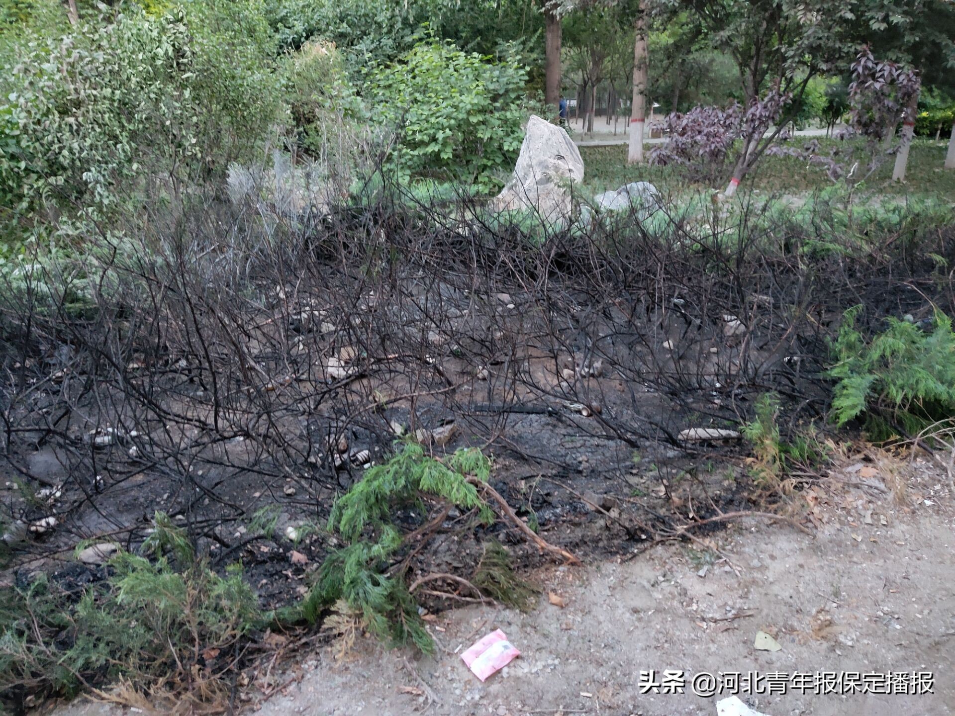 保定小区着火最新消息,小区着火最新事件保定