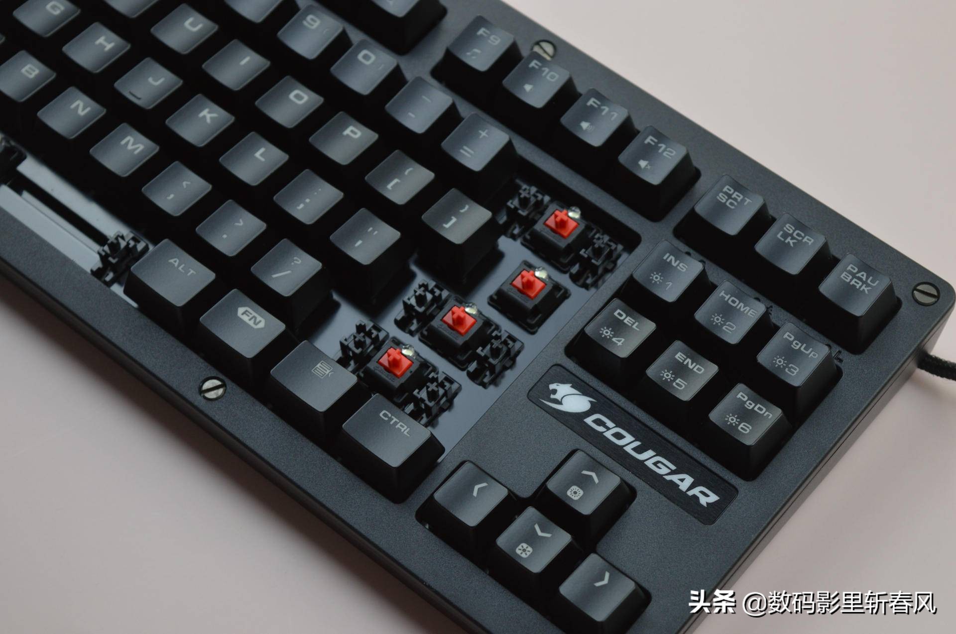 purltkl键盘樱桃青轴,磁吸防尘网推荐