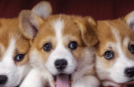 那些看似没用却好用到爆的东西,那些不到十块却非常好用的东西