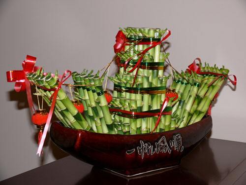 富贵竹弯曲造型是怎么做到的,富贵竹的造型有哪些