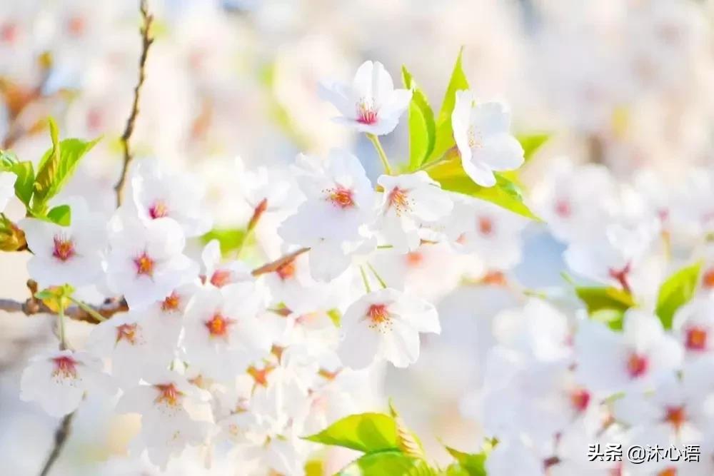 走了下坡路腿软怎么办,走在下坡路上