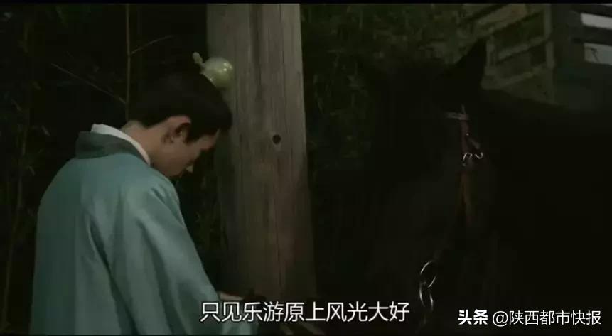 “长安一日”追剧一夏流量长安不如流浪长安