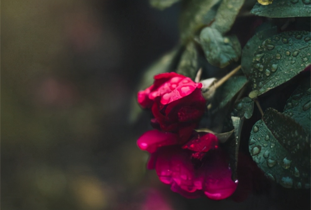 婚外感情中，真爱或许只有一种，学会反观自己，帮你早点放手