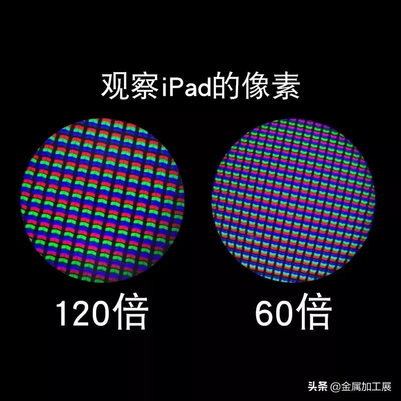 迷你高清便携显微镜对眼睛有害吗,日本口袋放大120倍显微镜