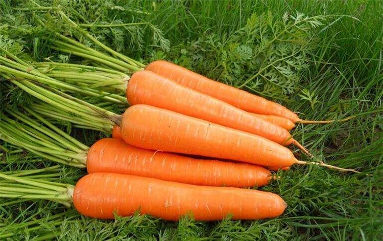 怎样皮肤才能变白变细腻光滑,皮肤暗黄怎么变白最快的方法