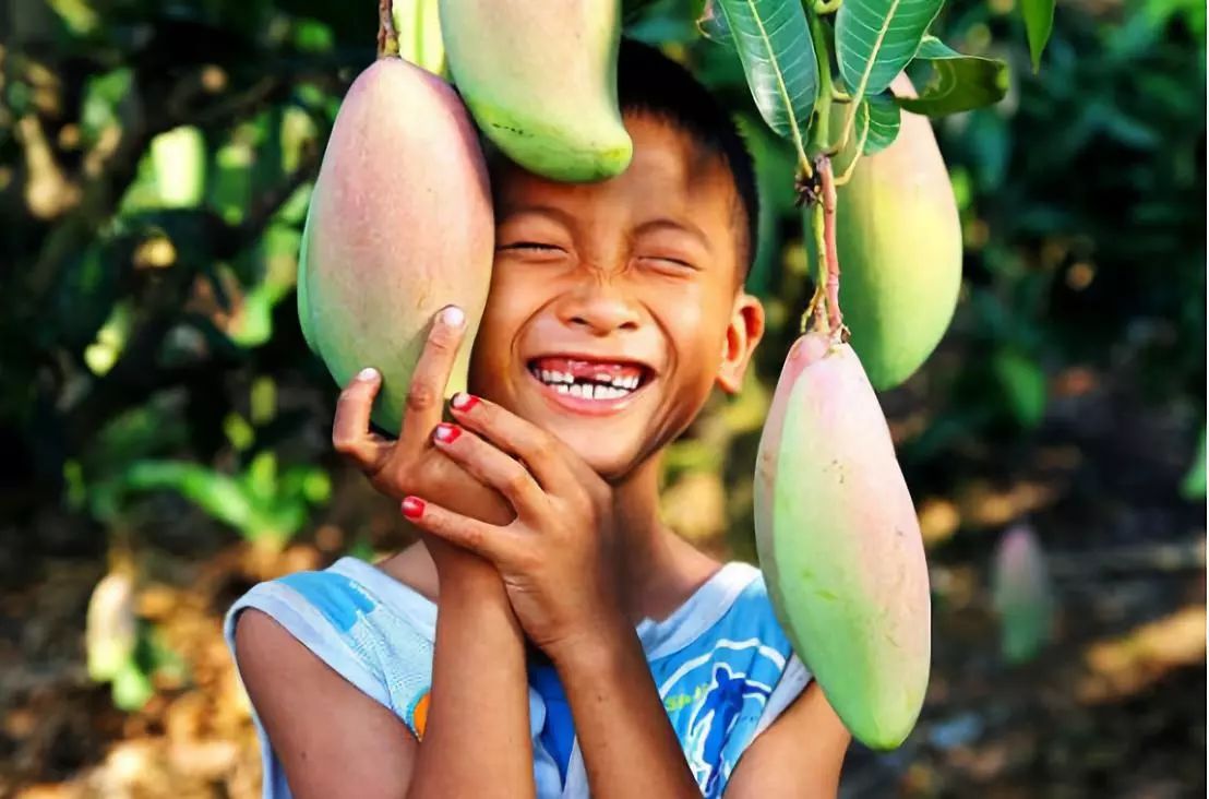 农产品9.9,拼多多卖9.9包邮的产品怎么赚钱的