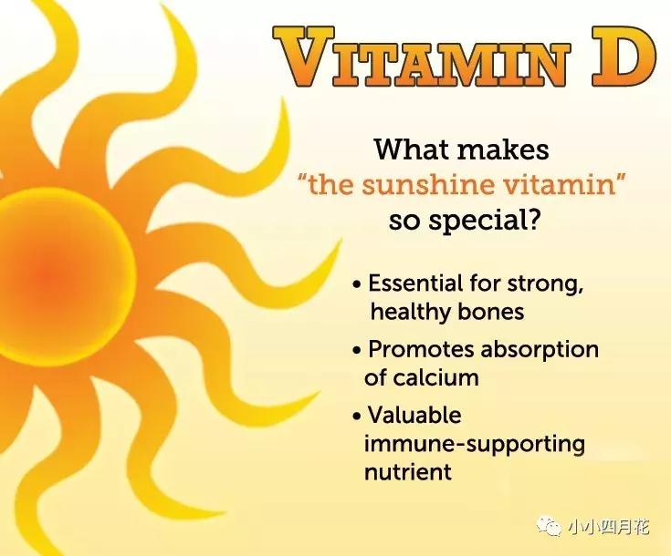 补充维生素d有用吗,补充维生素d的食物