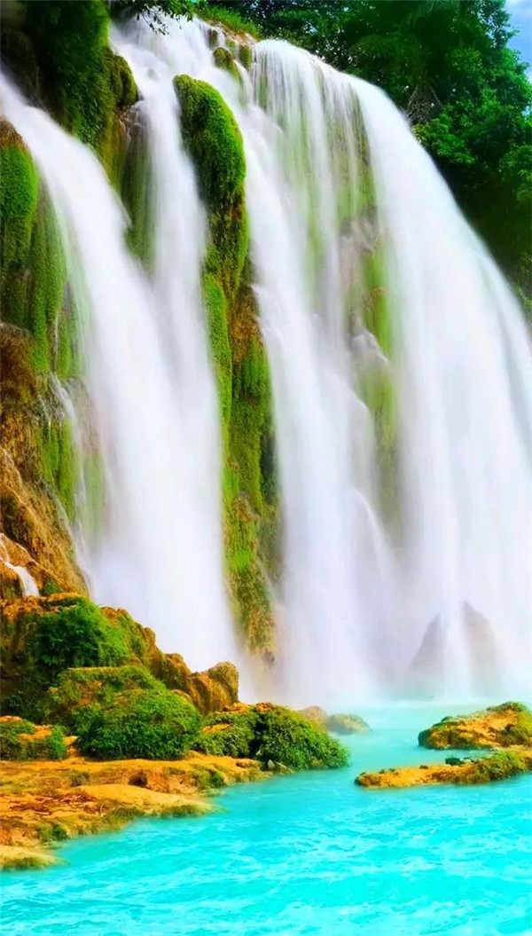 送你一张绝美壁纸,送你一张超美竖屏壁纸