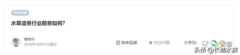 水族市场分析,水族器材行业有前景吗