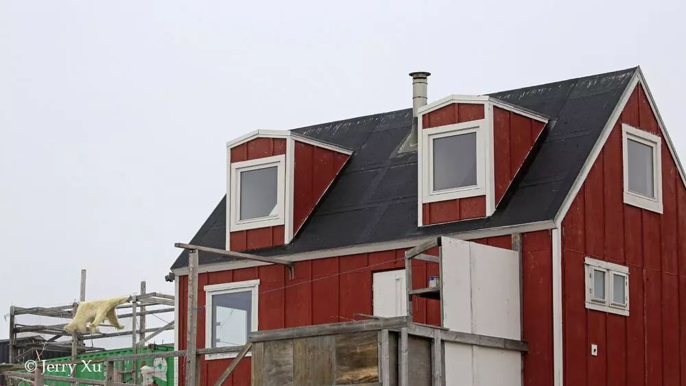 格陵兰的东海岸居然那么绚丽多彩,难怪特朗普想要买下来