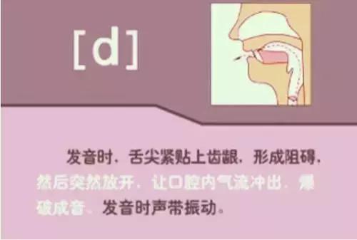 海伦英语48个音标发音视频教程,英语音标48个发音教学视频