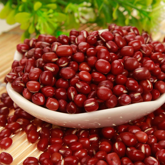 豇豆红根烂根死苗用什么农药,红小豆苗早期病害图片