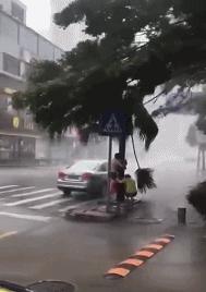 关于老鼠的搞笑图,虐待老鼠的搞笑gif