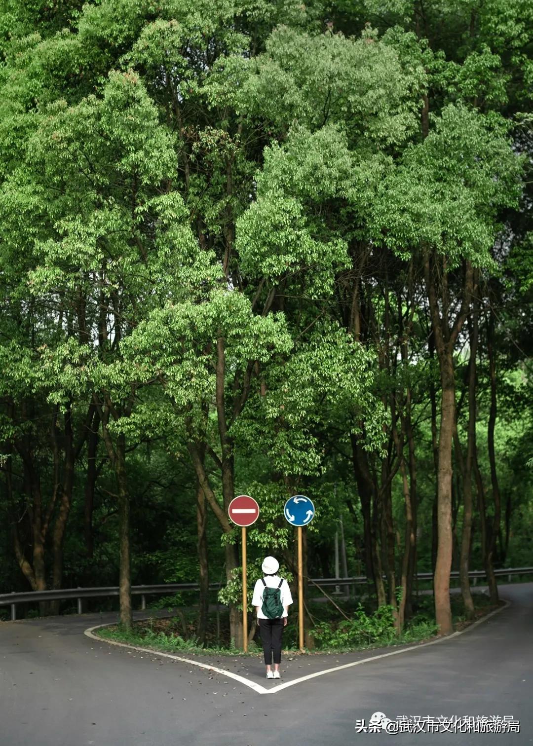 江夏面积多大,关于最美江夏的图片