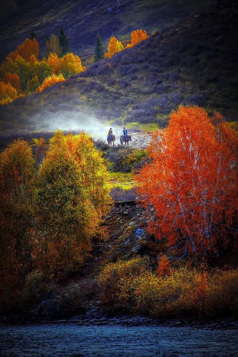 索尼公开赛旅行类获奖作品,索尼大赛获奖作品图片