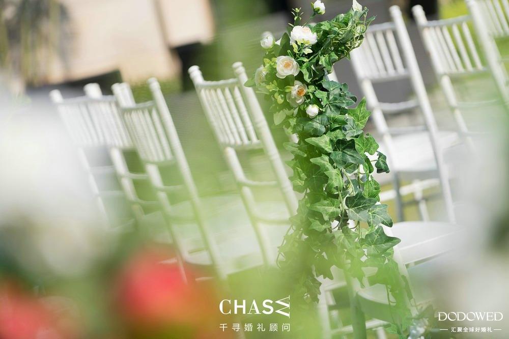 dowed婚礼案例,dodowed教程