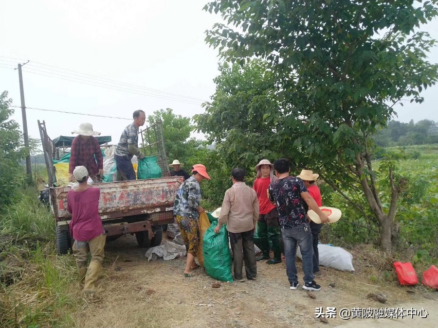 稀奇！黄陂这个超市居然不收钱只收劳动积分卡