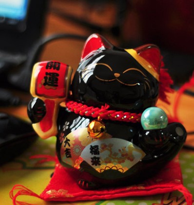 中华田园猫黑猫绿眼,中国田园猫咪黑猫